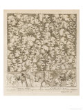 Myriad of Faces Looking in Different Directions: Characters and Caricatures Giclee Print by William Hogarth
