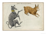 Canis Major (Dog) and Lepus (Hare) Constellation Giclee Print by Sidney Hall
