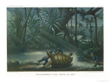 Hunting Turtles reproduction procédé giclée par P. Lackerbauer