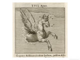Equus the Horse reproduction procédé giclée par Gaius Julius Hyginus
