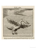Olor the Swan reproduction procédé giclée par Gaius Julius Hyginus