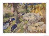 Sheep Dipping: Three Men a Dog and a Large Flock of Sheep Giclee Print by Edwin Noble