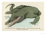 Birds are Allowed to Clean the Bits of Food Left in a Nile Crocodile's Mouth reproduction procédé giclée par Germaine Hagemans