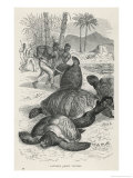 Hunting Green Turtles Giclee Print by Robert Kretschmer