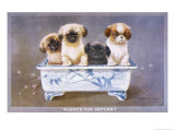 Four Pekingese Puppies Sitting in a Chinese-Style Ceramic Bowl Giclee Print by A. E. Kennedy