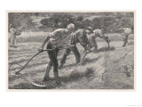 Four Men Scythe Hay into Rows: a Woman Brings Their Lunch Giclee Print by Henry Roberts