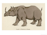 Female Rhinoceros of Sumatra Giclee Print by Germaine Hagemans