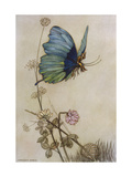 He Rides on the Back of a Butterfly reproduction procédé giclée par Warwick Goble