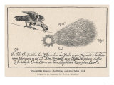 Depiction of a Comet Seen at Nuremberg Every Night Between 14-24 December 1664 Giclee Print