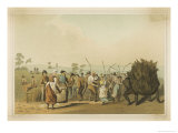 Farm Hands Hurry to Harvest This Temperamental Crop Giclee Print by E. Kaufmann