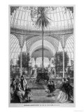 Inside a Proposed Conservatory at the Queen's Park Glasgow Giclee Print Inside a Proposed Conservatory at the Queen's Park Glasgow Giclee Print