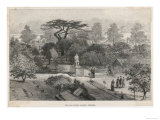The Old Physick Garden Chelsea London reproduction procédé giclée