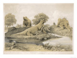 Models of Dinosaurs and Other Species at the Crystal Palace Sydenham Stampa giclée