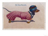 Dachshund Dressed as a Woman Giclée-tryk Dachshund Dressed as a Woman Giclée-tryk