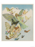 Fairy Flying with Butterflies Giclee Print