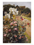 Shakespeare's Garden Stratford-On-Avon. a Packed Herbaceous Border Leads up to the House Giclee Print