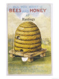 Beehive and One Bee Wydruk giclee Beehive and One Bee Wydruk giclee
