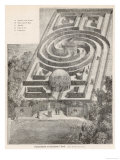 The Simple But Elegant Hedge Labyrinth in the Tivoli Gardens Copenhagen Denmark Giclee Print