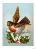 Robin in a Winter Scene Giclee Print