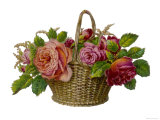 Decorative Arrangement of Roses in Wicker Basket Giclee Print Decorative Arrangement of Roses in Wicker Basket Giclee Print