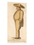 Napoleon I the Ex-Emperor in Exile on Saint Helena Lámina giclée Napoleon I the Ex-Emperor in Exile on Saint Helena Lámina giclée