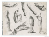 An Assortment of Hands and Feet, Some of the Feet in Sandals Reproduction procédé giclée