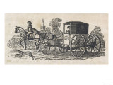 Dalmatian Coach Dog Guarding a Carriage Giclee Print