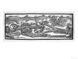 Skeleton and a Skull and Crossbones Giclee Print