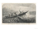 His Boat is Rammed by a Hippopotamus Displeased Because Its Young Have Been Shot by the Expedition Giclee Print