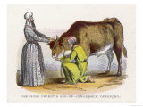 Sacrificing to Atone for Sins, The High Priest Can Afford to Slaughter a Whole Cow Giclee Print