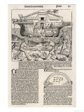 Noah Builds His Ark reproduction procédé giclée