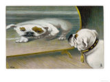 Bulldog Admires Its Reflection in a Distorting Mirror Giclee Print