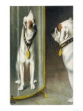 Bulldog Admires Its Reflection in a Distorting Mirror Giclee Print
