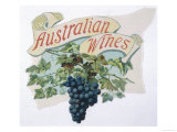 Australian Wine Giclee Print