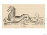 Sea Horse - Giclee Baskı