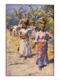 Jamaican Banana Plantation - Giclee Baskı Jamaican Banana Plantation - Giclee Baskı
