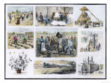 Various Stages of Cotton Processing Lámina giclée Various Stages of Cotton Processing Lámina giclée