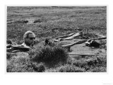 Suave Chap Smokes a Pipe and Waits Patiently for Some Activity Whilst Grouse Hunting Giclee Print Suave Chap Smokes a Pipe and Waits Patiently for Some Activity Whilst Grouse Hunting Giclee Print