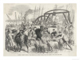 Foreign Cattle are Landed at the British and Foreign Wharf Near the London Docks Giclee Print