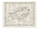 Virgo Giclee Print