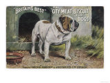 Bulldog Stands Outside His Kennel in an Advertisement for "City Meat" Dog Biscuits Giclee Print