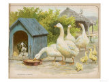 Geese and a Kenneled Dog Giclee Print