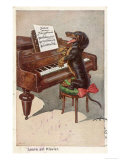 Musical Dachshund Plays a Tune on the Piano Giclee Print
