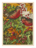 Two Robins Among Berries Giclee Print