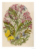 Convallaria Giclee Print