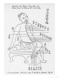 Acupuncture the Meridian of the Loins, Giclee Print