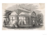Ormson's Conservatory Giclee Print Ormson's Conservatory Giclee Print