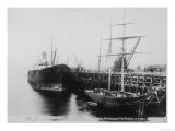 The Jetty Falmouth England Giclee Print The Jetty Falmouth England Giclee Print