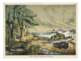 Animals and Plants of the Triassic Era in Germany Giclée-Druck von Ferdinand Von Hochstetter