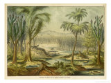 Animals and Plants of the Carboniferous Era in Europe Reproduction procédé giclée par Ferdinand Von Hochstetter